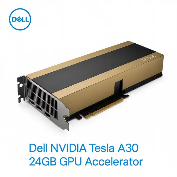Dell Nvidia Tesla A30 24gb Batch5